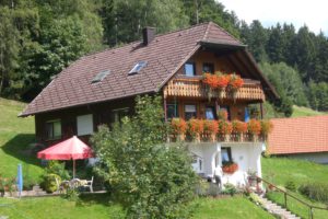 Haus am Wald - Ferienwohnung in Baiersbronn