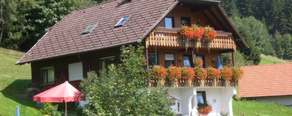 Haus am Wald - Ferienwohnung in Baiersbronn