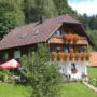 Haus am Wald - Ferienwohnung in Baiersbronn