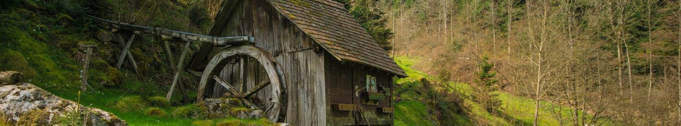 Ferienwohnung in Baiersbronn – Haus am Wald in Mitteltal